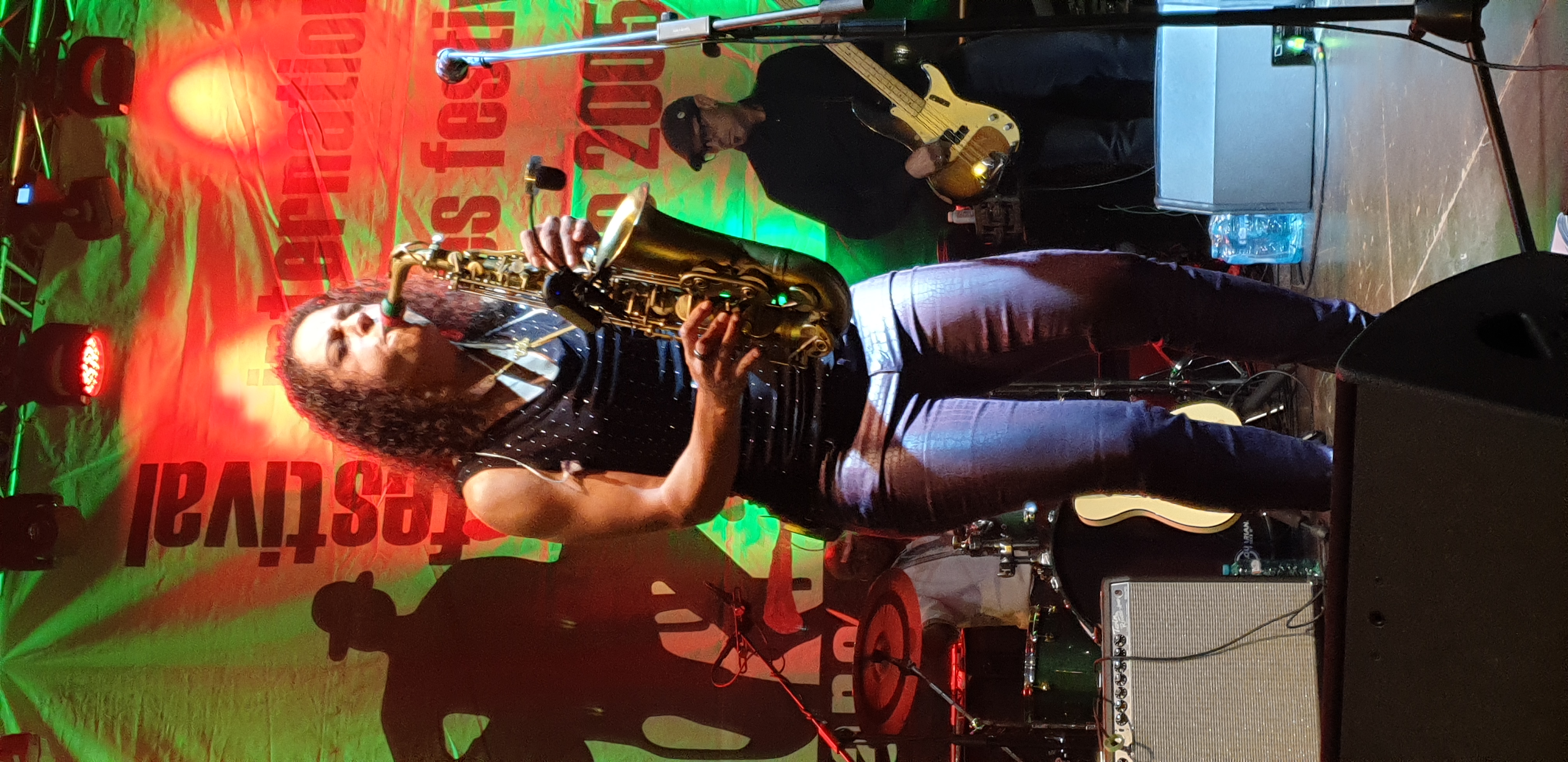 Sighisoara Blues Fest 10.jpg